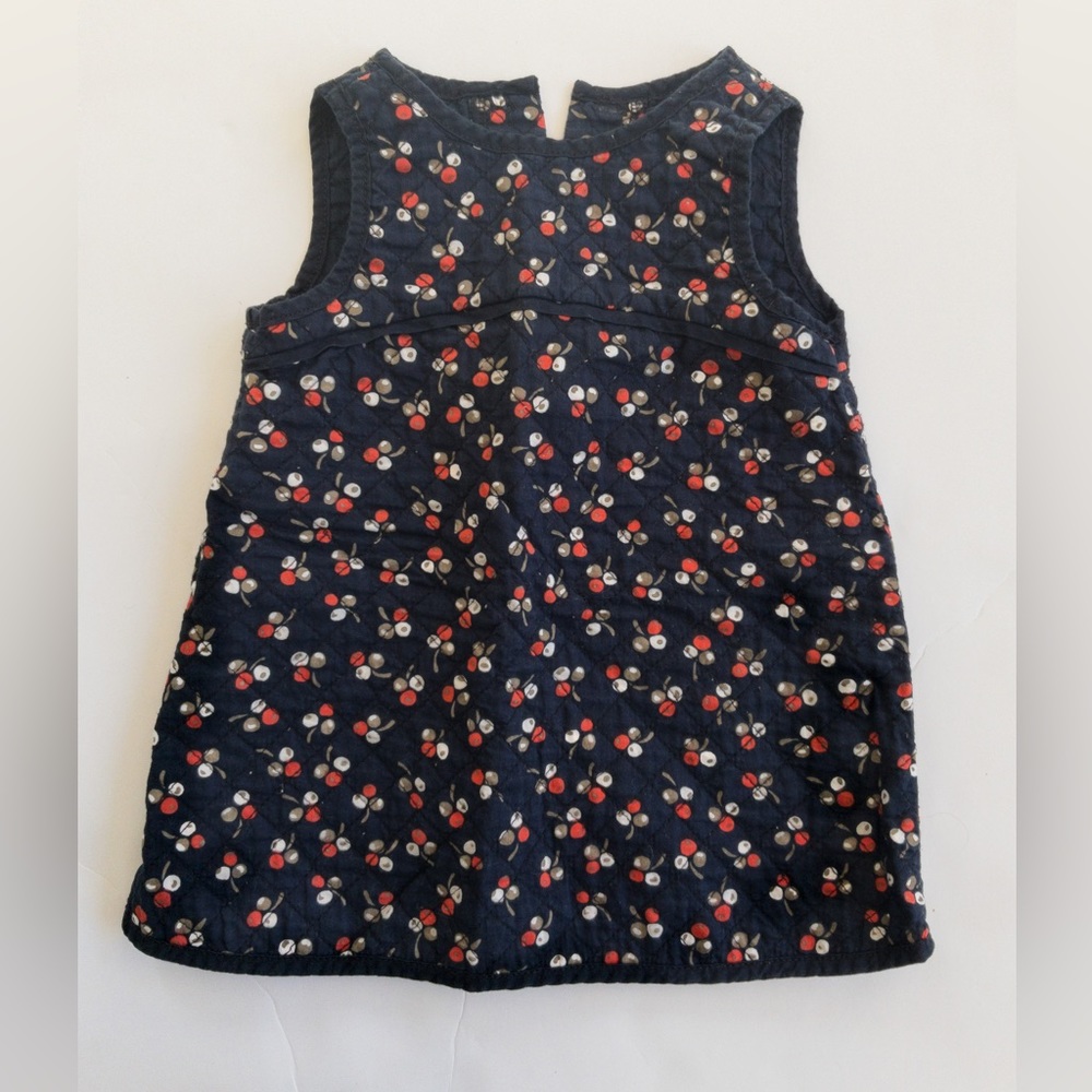 GAP Size 6-12 months Blue Berry Dress